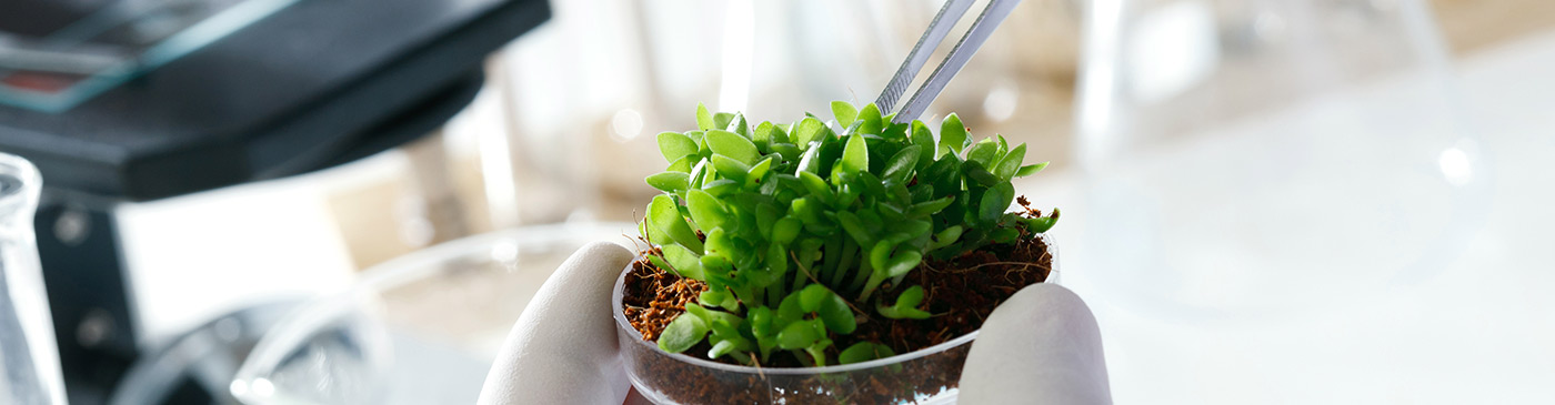 EXPAND Greater Springfield Training & Development