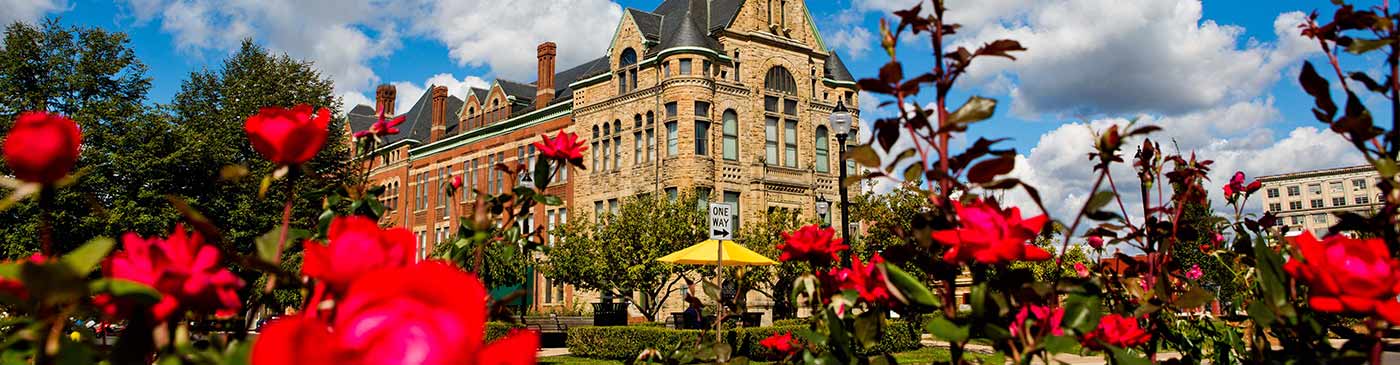 Banner for Board of Directors