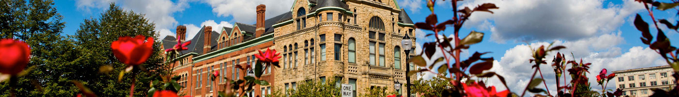 Banner for Board of Directors