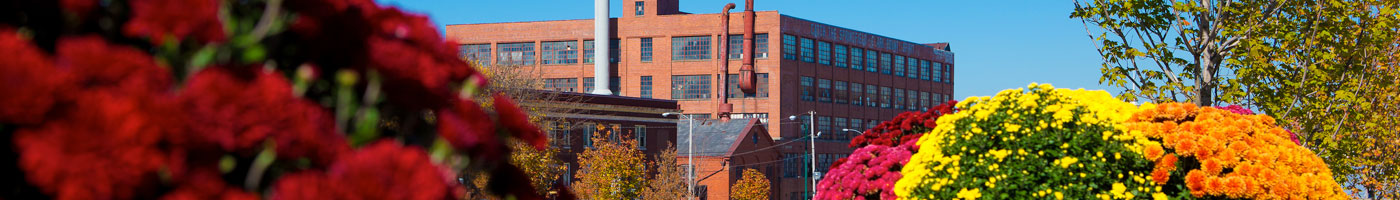 Banner for Major Contributors